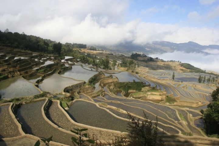 Voyage à Yunnan en 2008  - Mémoire 3