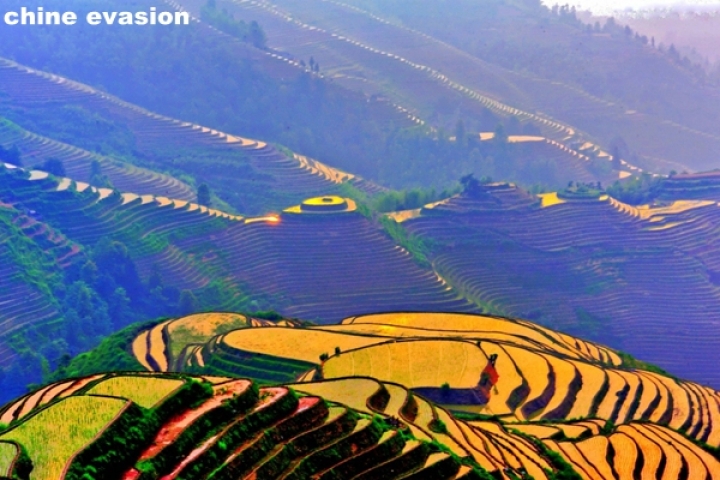 La plus belle rizière en terrasse --- Rizière en terrasse de Longji