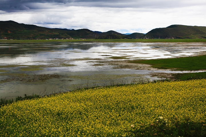 Lac Napa de Shangri-la (Zhongdian) du Yunnan
